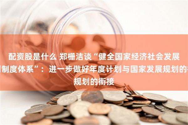 配资股是什么 郑栅洁谈“健全国家经济社会发展规划制度体系”：进一步做好年度计划与国家发展规划的衔接