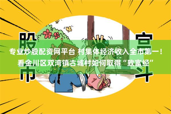 专业炒股配资网平台 村集体经济收入全市第一！看金川区双湾镇古城村如何取得“致富经”