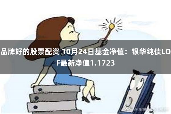 品牌好的股票配资 10月24日基金净值：银华纯债LOF最新净值1.1723