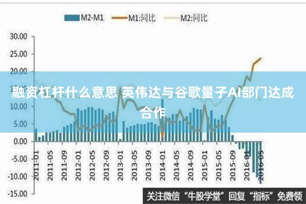 融资杠杆什么意思 英伟达与谷歌量子AI部门达成合作