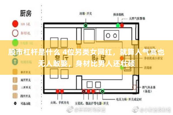 股市杠杆是什么 4位另类女网红，就算人气高也无人敢娶，身材比男人还壮硕